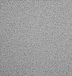 Raw micrograph showing particles embedded in vitreous ice.