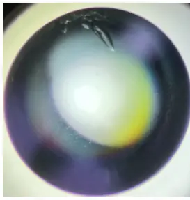 View of a protein crystal within a crystallization drop.