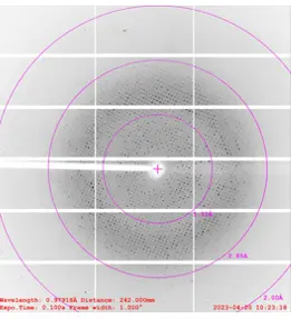 A regular array of spots (reflections) from an X-ray source.