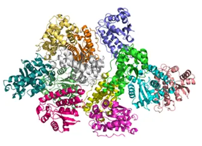A complex 3D ribbon diagram of a protein structure in multiple colors.