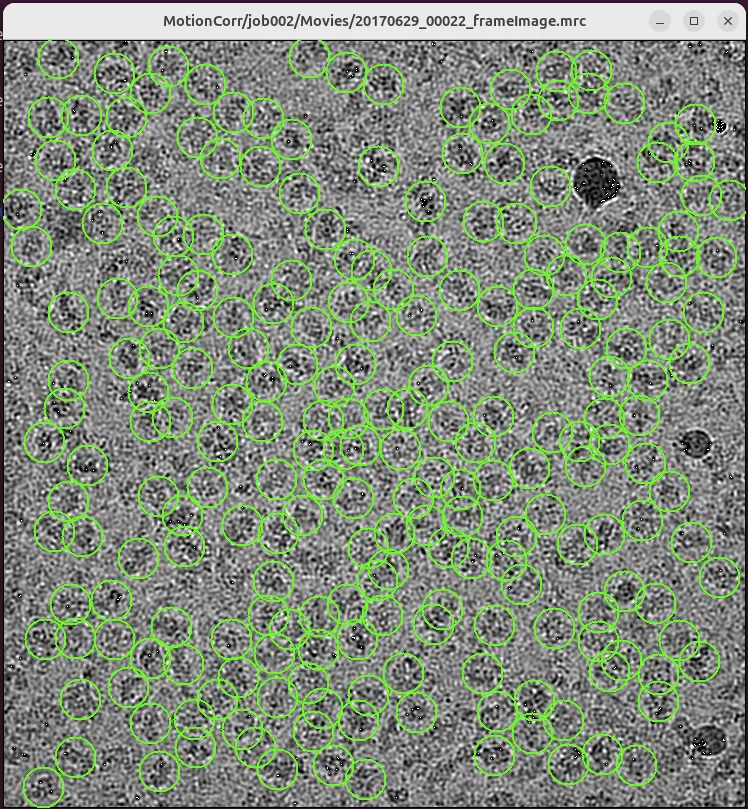AI-driven particle picking by crYOLO on a motion-corrected cryo-EM micrograph, with green circles marking detected particles.