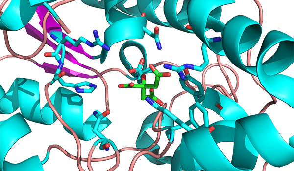 1-1-Target-3D-structure-Analysis-2