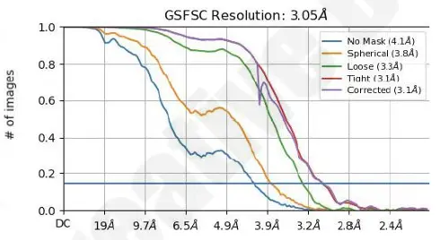 Gold-standard GSFSC curves confirming 3.05 Angstrom resolution for CDXX-antibody complex.