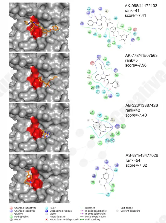 Binding modes of prioritized compounds with 3D surface and 2D interaction maps.