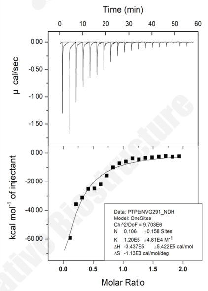 ITC thermogram and integrated binding isotherm showing the titration of compound B into protein E