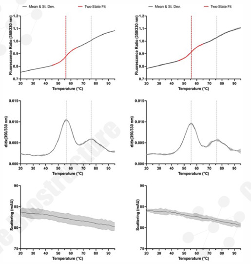 NanoDSF results displaying fluorescence ratio curves, first-derivative thermal transitions, and scattering data for duplicate protein samples.