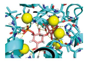 Hit Biophysical Characterization