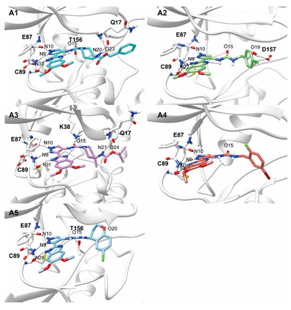 Molecular dynamics snapshots showing designed compound conformations bound to TBK1 active site.