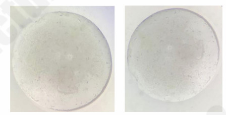 Reproducible XYZ–DNA/RNA complex crystals grown under optimized conditions.
