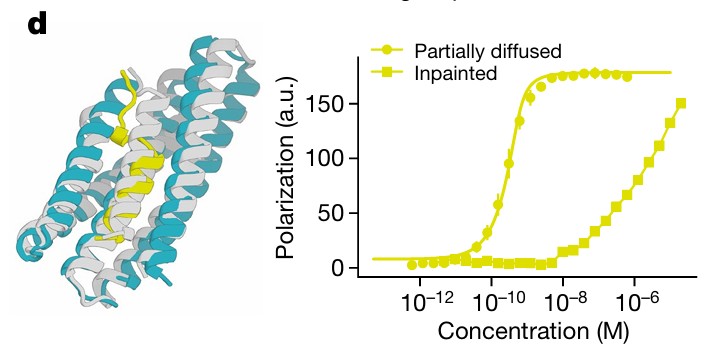 Superposed crystal structures and fluorescence polarization curves of GCG binders