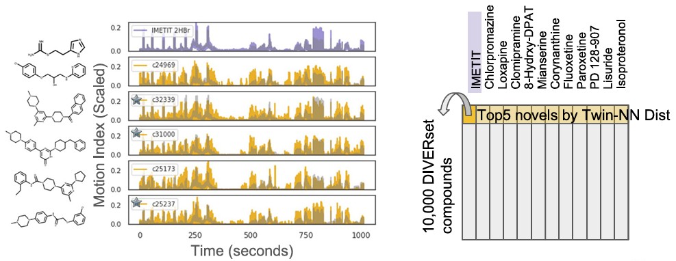 Twin-NN phenotypic matching of DIVERSet compounds to NT-650 drugs via normalized motion index time-series.