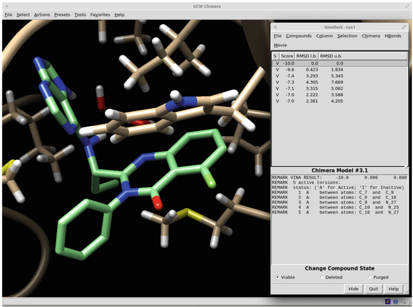 Molecular docking using the UCSF Chimera for AutoDock Vina.