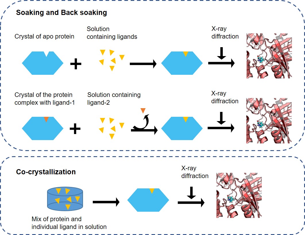 MagHelix™ Co-crystallization and Soaking