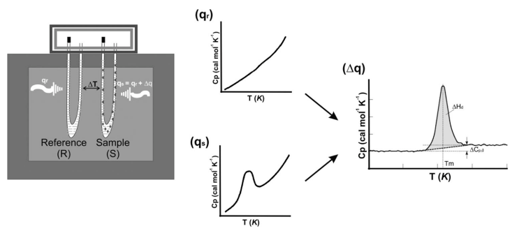 MagHelix™ Differential Scanning Calorimetry (DSC)