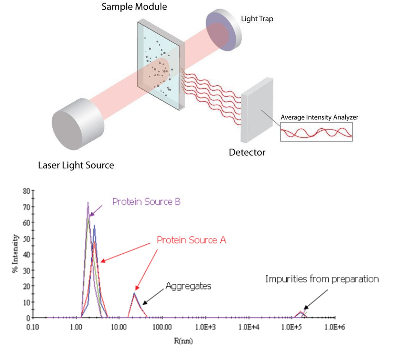 MagHelix™ Dynamic Light Scattering (DLS)