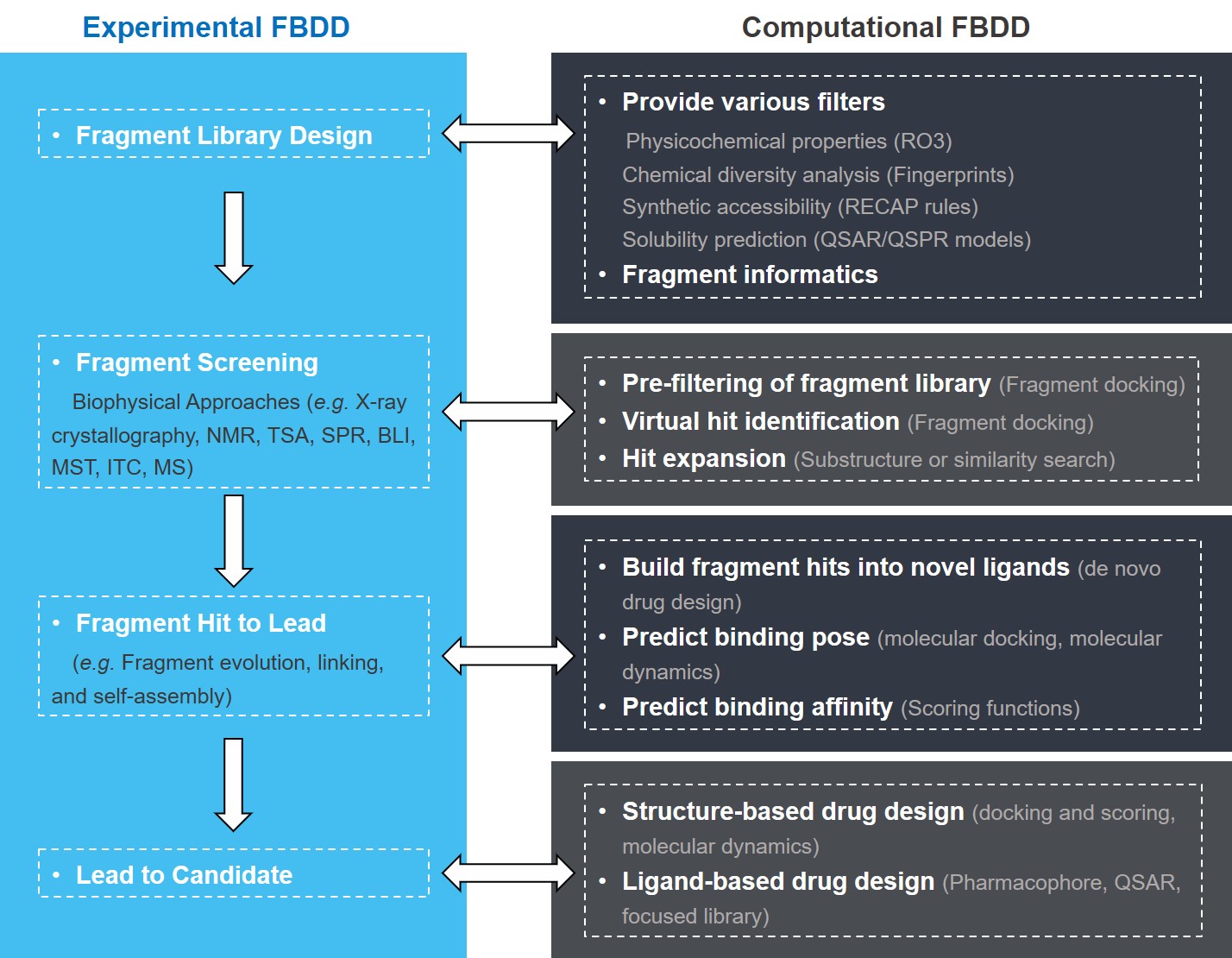 Our Fragment-based Drug Discovery Platform.