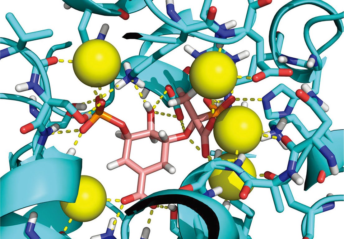 Molecular Dynamics Simulation