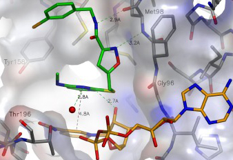 Molecular Dynamics Simulation