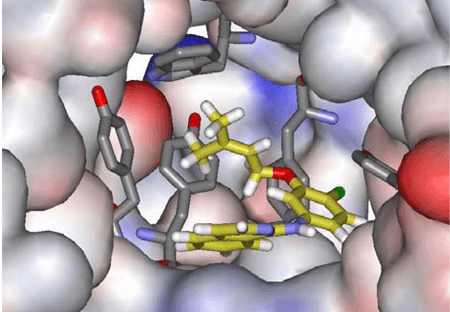 Molecular Dynamics Simulation