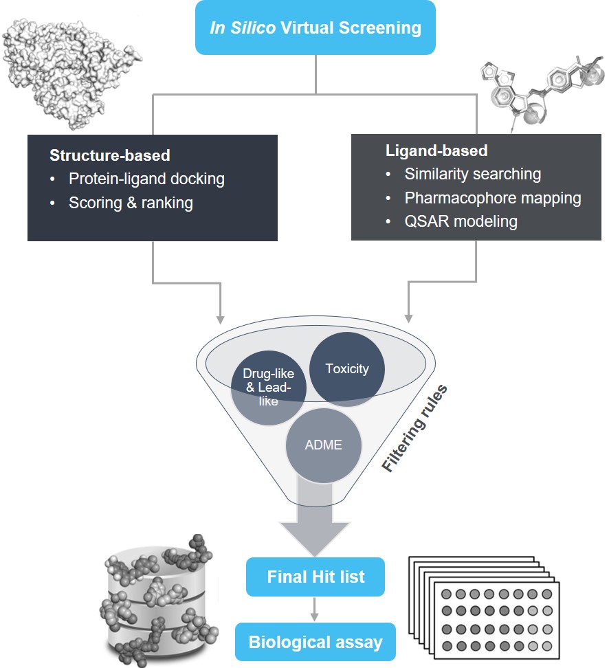 In Silico Virtual Screening