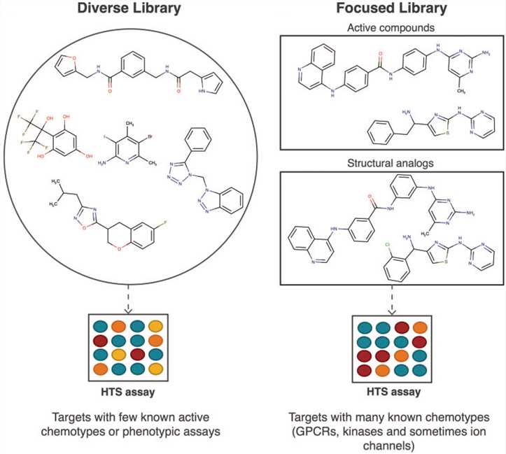 MagHelix™ Library Design and Preparation