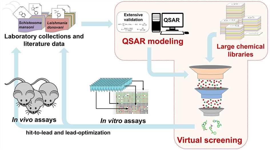 Ligand-based Virtual Screening