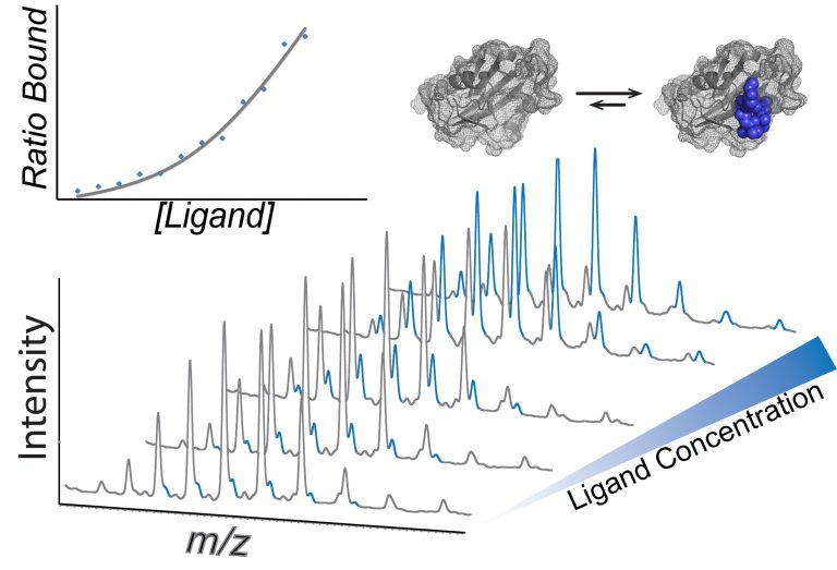 MagHelix™ Mass Spectrometry (MS)