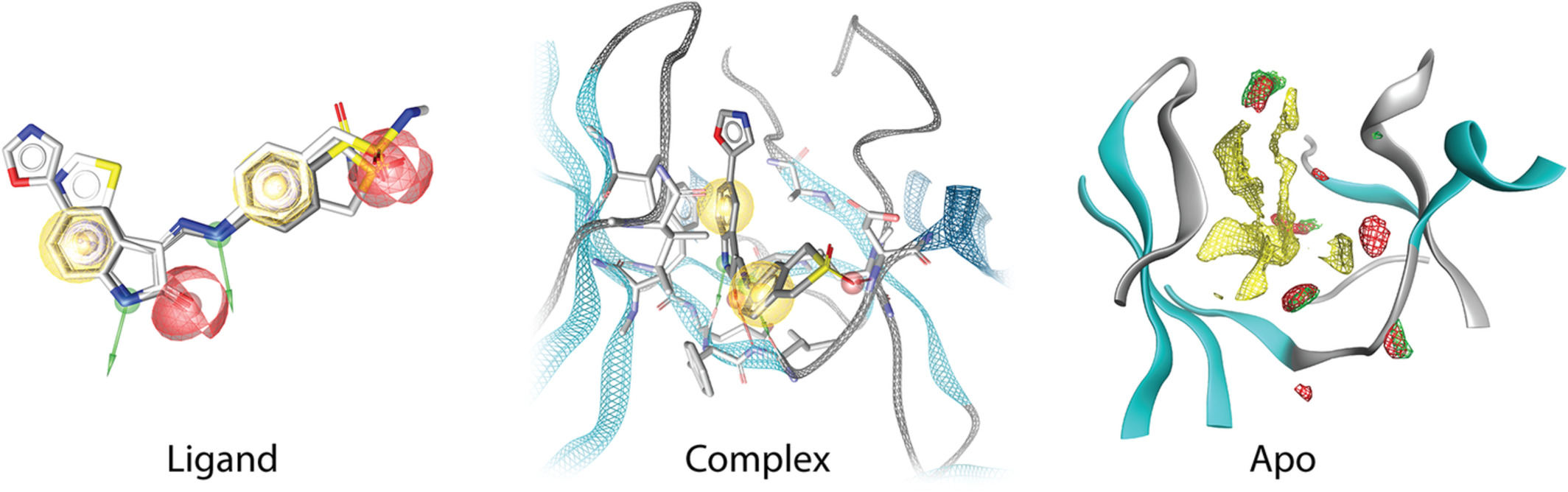 Pharmacophore modeling approaches based on the available data.