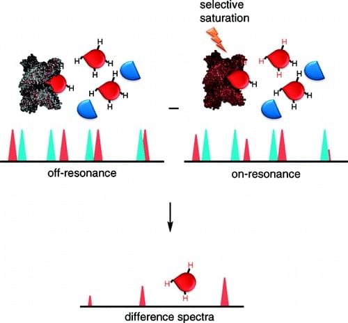 MagHelix™ Saturation Transfer Difference (STD) NMR