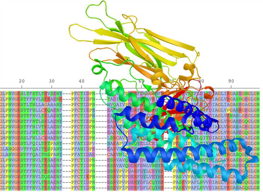 Structural Modeling of Target Molecule