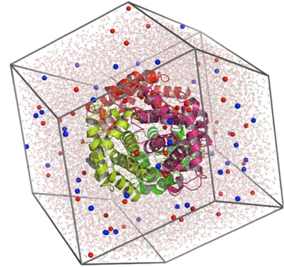 Structural Modeling of Target Molecule