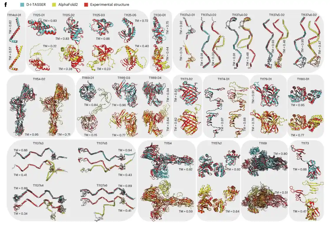 Structural superposition of D-I-TASSER, AlphaFold2, and native models