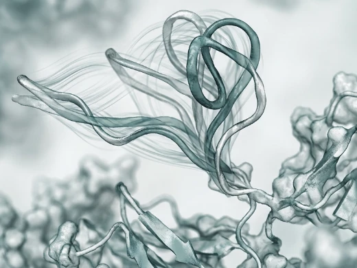 CDR Loop MD Refinement