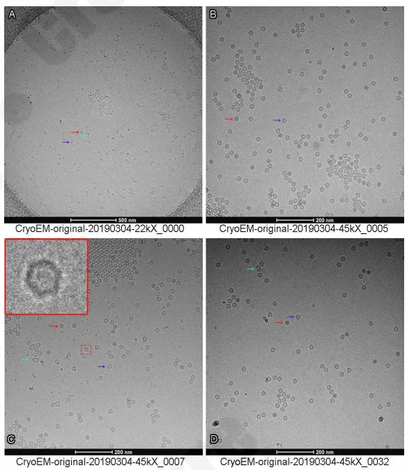 XYZ-DNA/RNA complex crystals in different crystallization solutions.