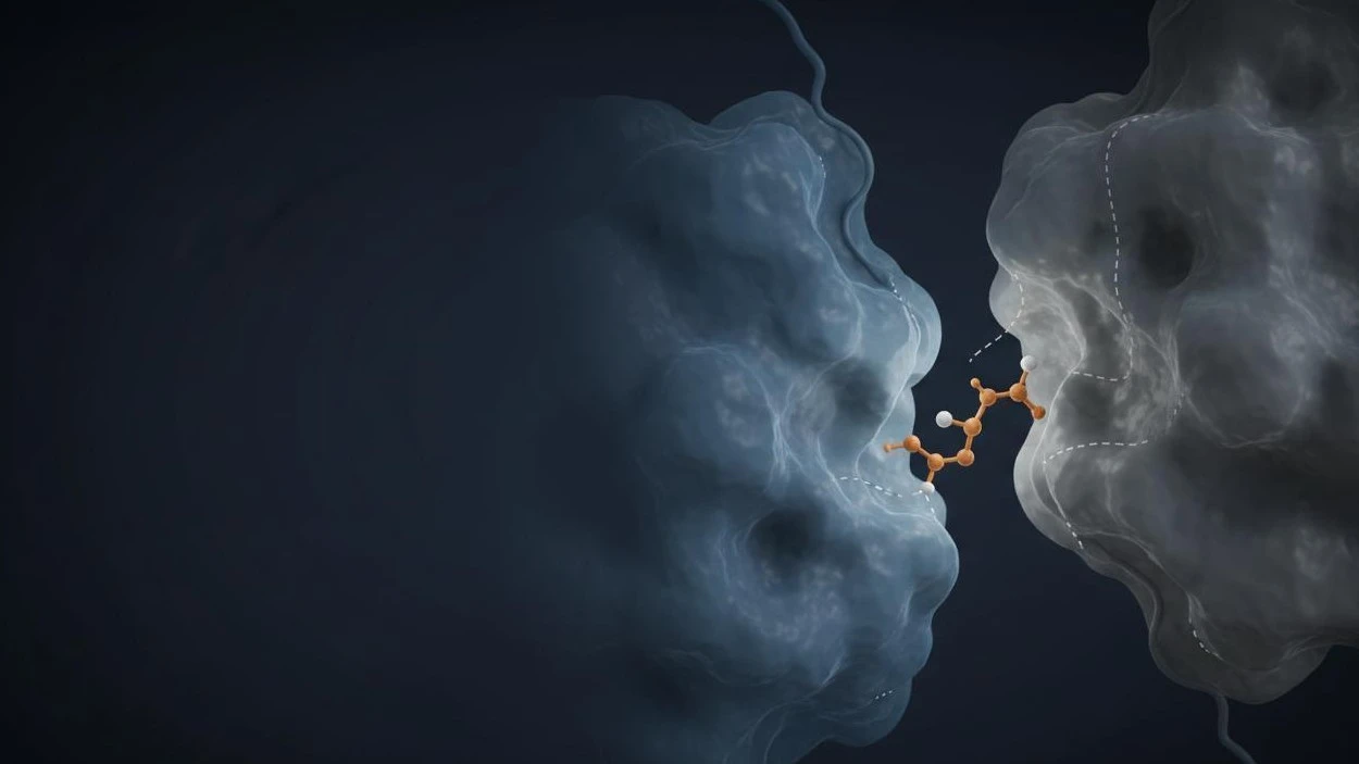 Protein-Protein/Peptide Docking (Rigid Body / Flexible Docking)