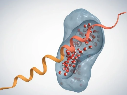 Backbone-flexible peptide threading into a protein binding pocket with macrocycle support.