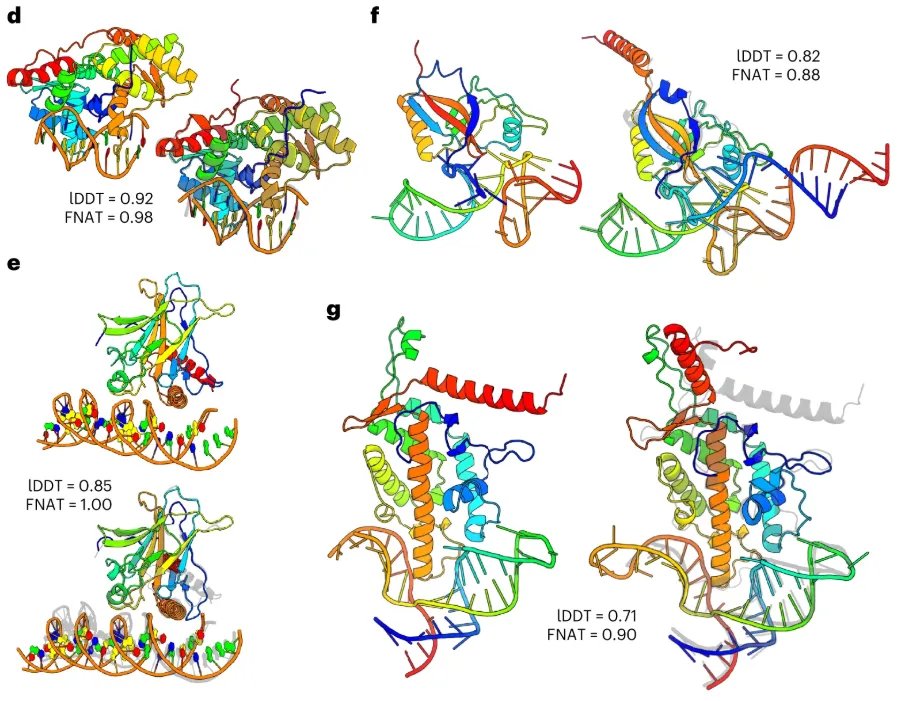 Four examples of protein–NA complexes without homologs in the training set: the BpuJ1 endonuclease bound to a modified cognate DNA.
