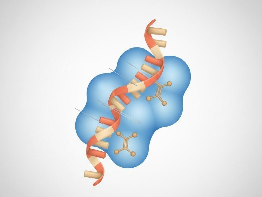RNA-binding protein domain interacting with a single-stranded RNA stem-loop structure.