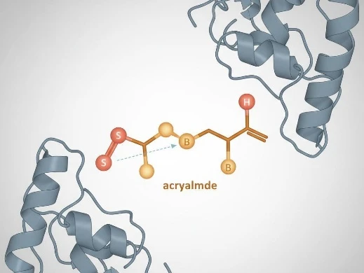 Acrylamide Michael acceptor approaching a cysteine thiolate in a kinase active site.