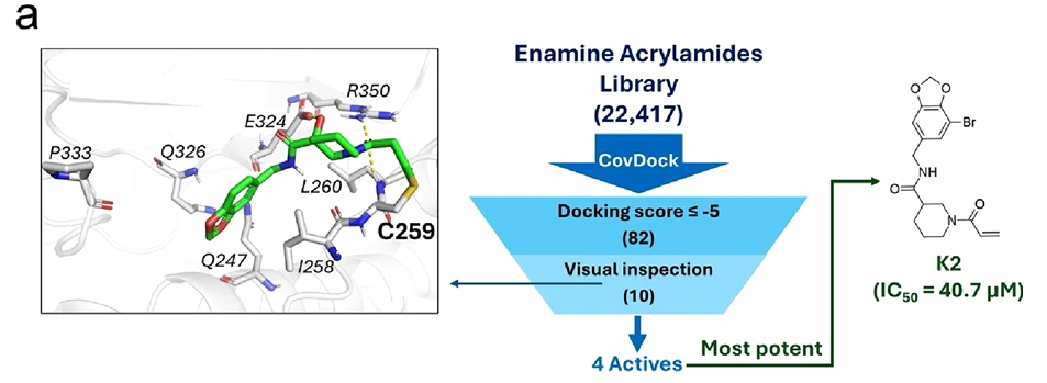 Overview of the covalent docking virtual screening workflow