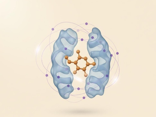 Graph neural network model mapping protein-ligand interaction features for affinity prediction.