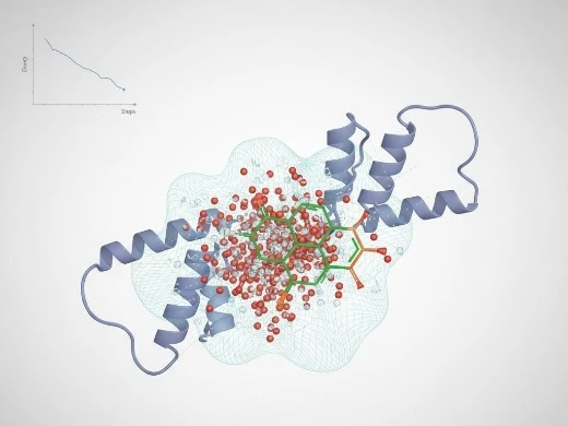 Explicit water network and energy minimization within a refined binding pocket.