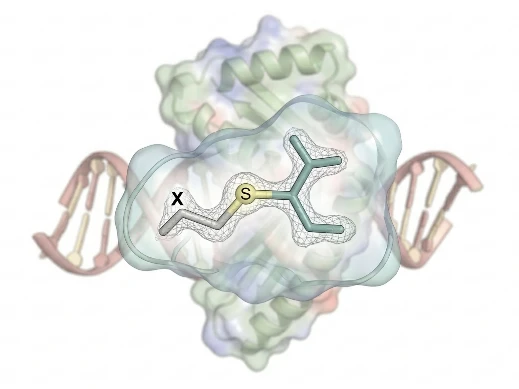 Covalent Docking
