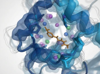 Dynamic pharmacophore ensemble from MD snapshots showing feature shifts across conformations.