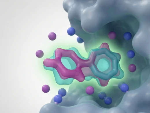 3D shape-matched core replacement with two structurally distinct molecules overlapping perfectly in a protein binding pocket.