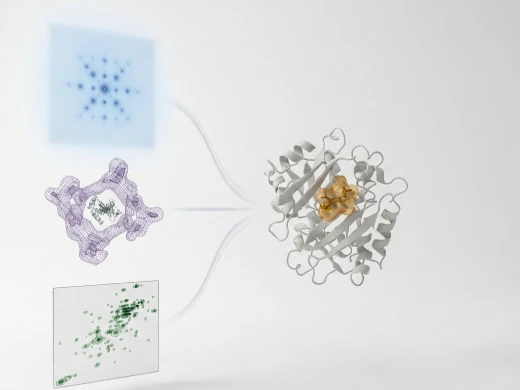 Protein structure determination workflow converging X-ray, Cryo-EM, and NMR data into a unified 3D structure with highlighted binding pocket.
