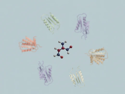 Single molecular scaffold engaging multiple protein targets illustrating polypharmacology.