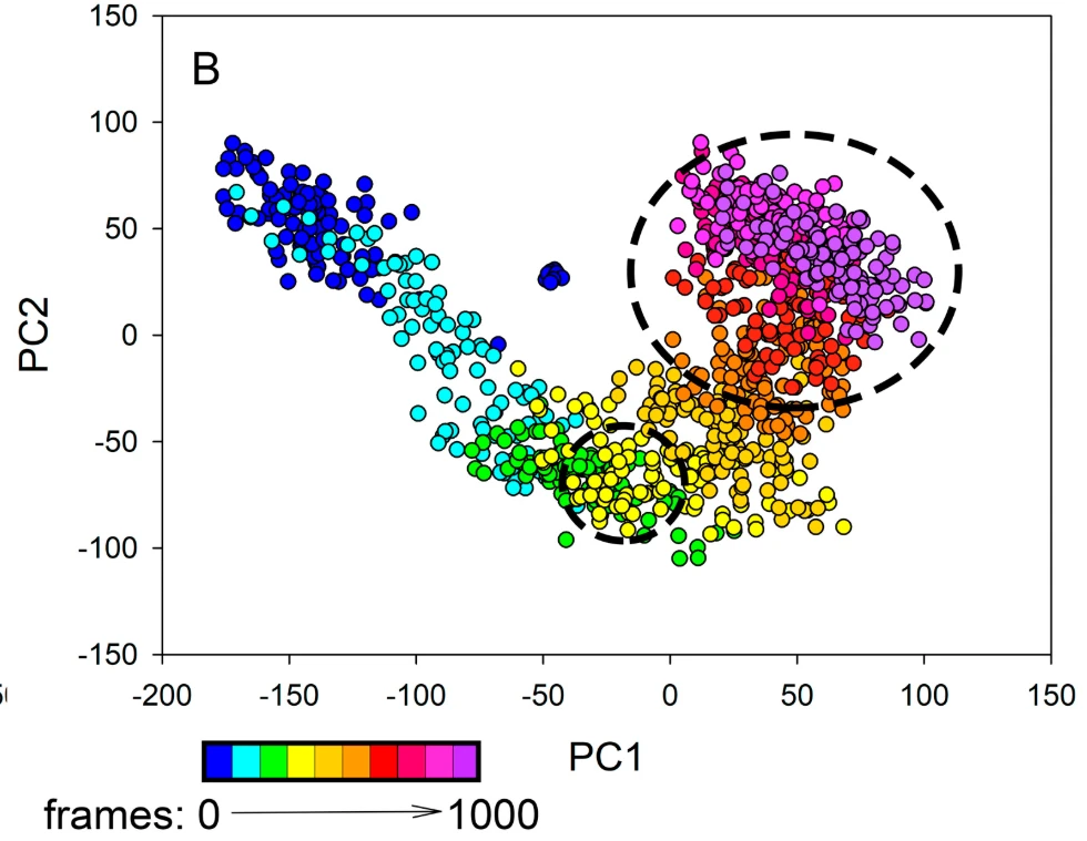 PCA projection of WT hPPA2 MD trajectory