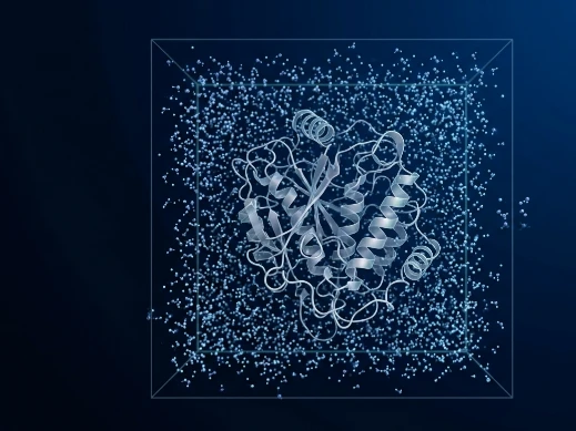 MD trajectory ensemble of a protein target with validated conformational snapshots for docking.