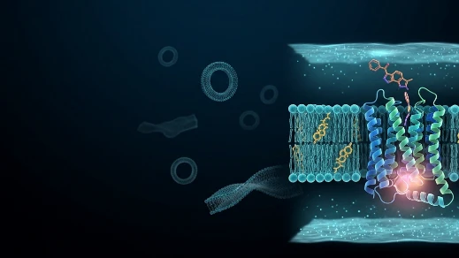 Membrane Protein & Lipid MD Simulation